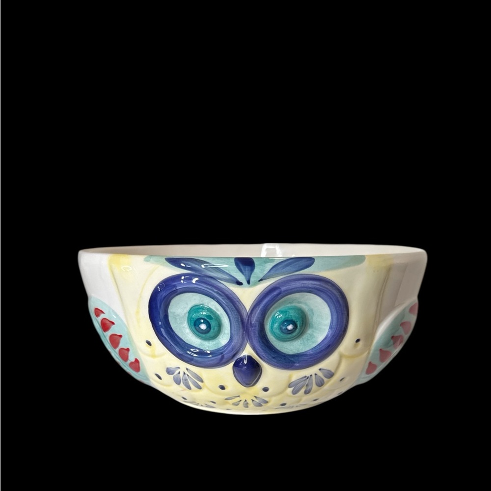 Whimsical Owl Ceramic 8” bowl by American Atelier at Home. (R 1 110125)